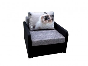Кресло кровать Канзасик с подлокотниками кот голубые глаза в Юрюзани - yuryuzan.mebel74.com | фото