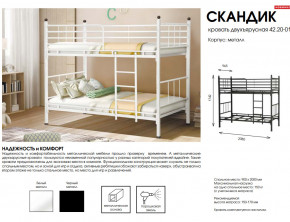 Кровать двухъярусная Скандик 42.20-01 в Юрюзани - yuryuzan.mebel74.com | фото 2