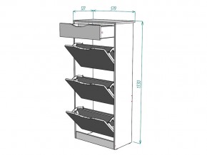 Обувница W24 в Юрюзани - yuryuzan.mebel74.com | фото 3