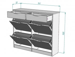 Обувница W63 в Юрюзани - yuryuzan.mebel74.com | фото 3