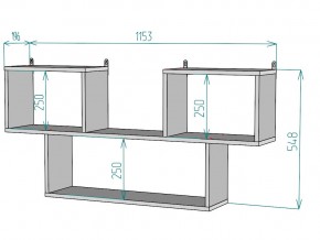 Полка S107 в Юрюзани - yuryuzan.mebel74.com | фото 3