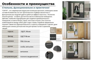 Прихожая Санти Белый/Дуб Крафт Золотой в Юрюзани - yuryuzan.mebel74.com | фото 3