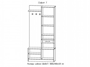 Прихожая София 1 в Юрюзани - yuryuzan.mebel74.com | фото 2