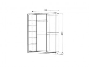 Шкаф-купе Бассо 2-600 дуб сонома/белый в Юрюзани - yuryuzan.mebel74.com | фото 3