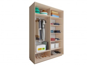 Шкаф-купе двухдверный №7 1600*420 в Юрюзани - yuryuzan.mebel74.com | фото 2
