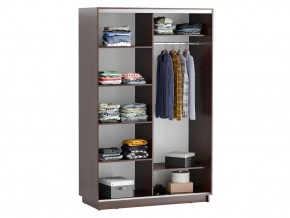 Шкаф-купе двухдверный Лео 1200 фотопечать Камень в Юрюзани - yuryuzan.mebel74.com | фото 3