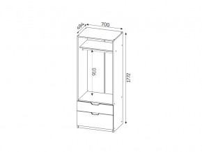 Шкаф с 2-мя ящиками ЛДСП Фаворит в Юрюзани - yuryuzan.mebel74.com | фото 2