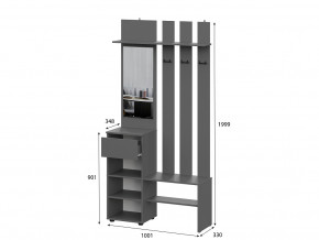 Вешалка с зеркалом Денвер Графит серый в Юрюзани - yuryuzan.mebel74.com | фото 2